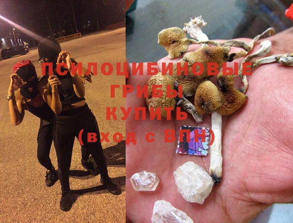 кокаин колумбия Алексин