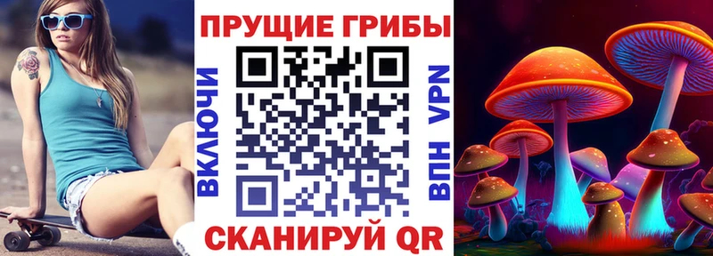 гидра ТОР Георгиевск Псилоцибиновые грибы Magic Shrooms