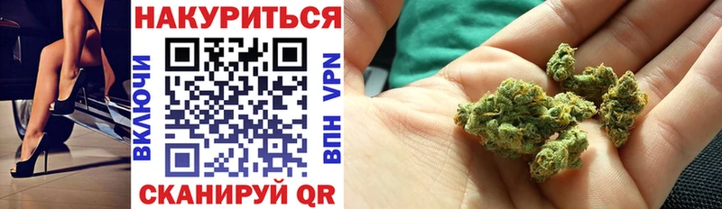 МАРИХУАНА ГИДРОПОН  как найти закладки  Георгиевск 